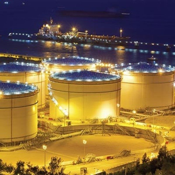 WhatsApp Image 2025-11-17 at 16.56.03